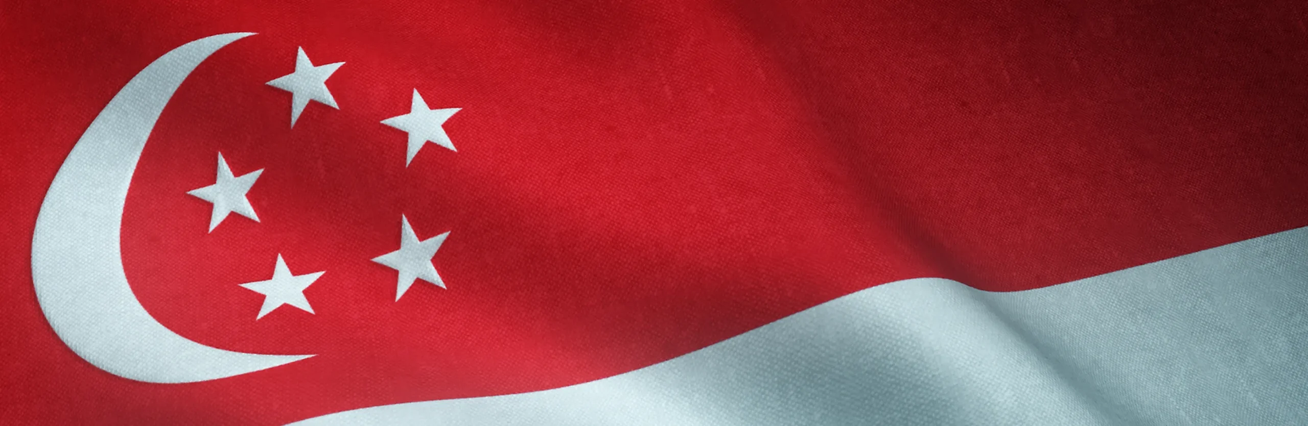 Singapore flag representing Elken regional expansion into Southeast Asia