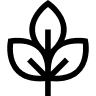 Icon representing natural antioxidant protection